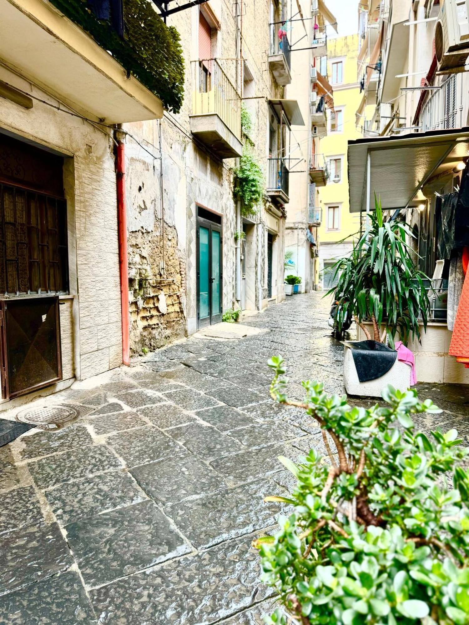 شقة Vesuvius House نابولي المظهر الخارجي الصورة